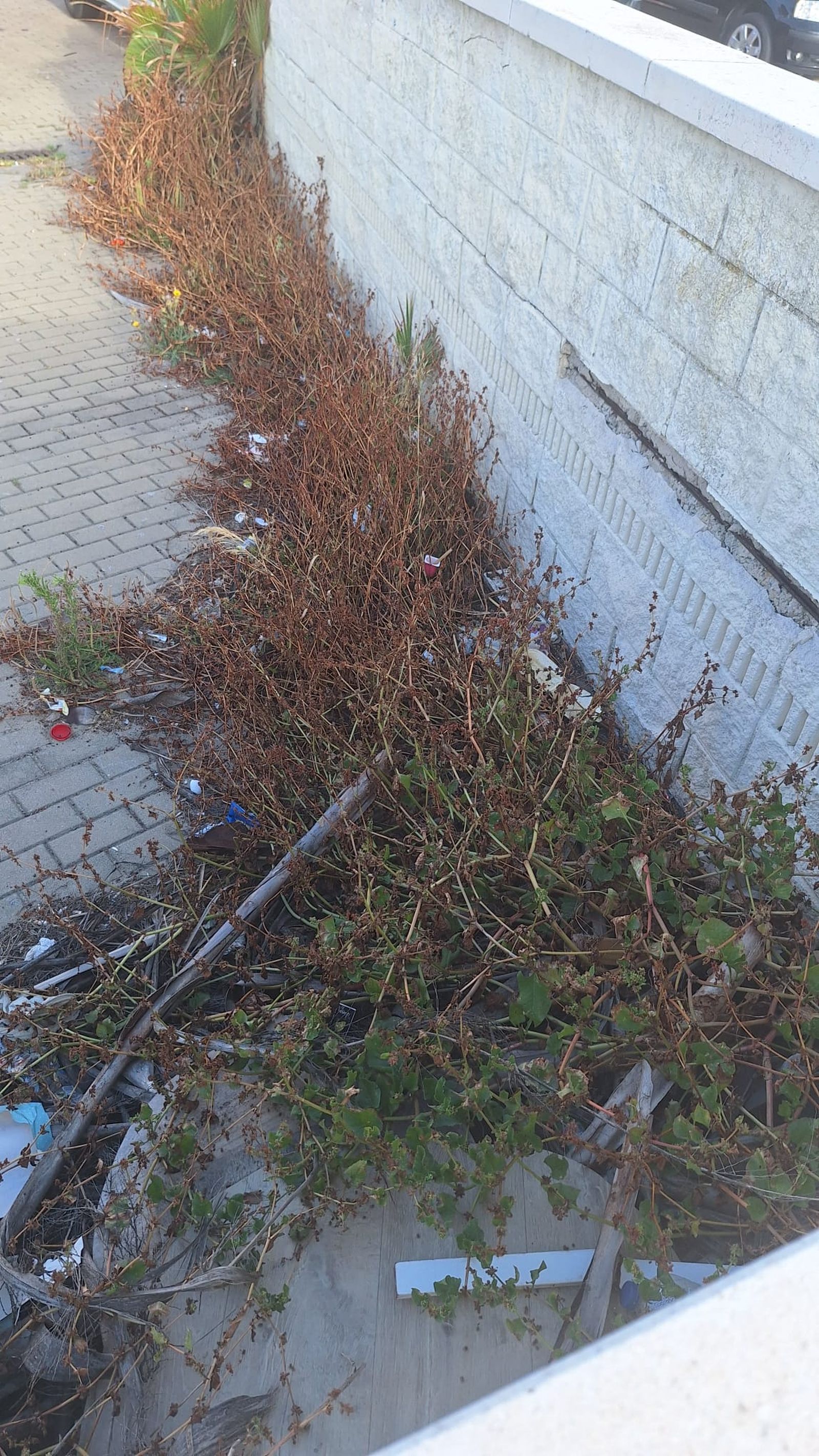 WhatsApp Image 2025-05-07 at 17.03.17.jpeg