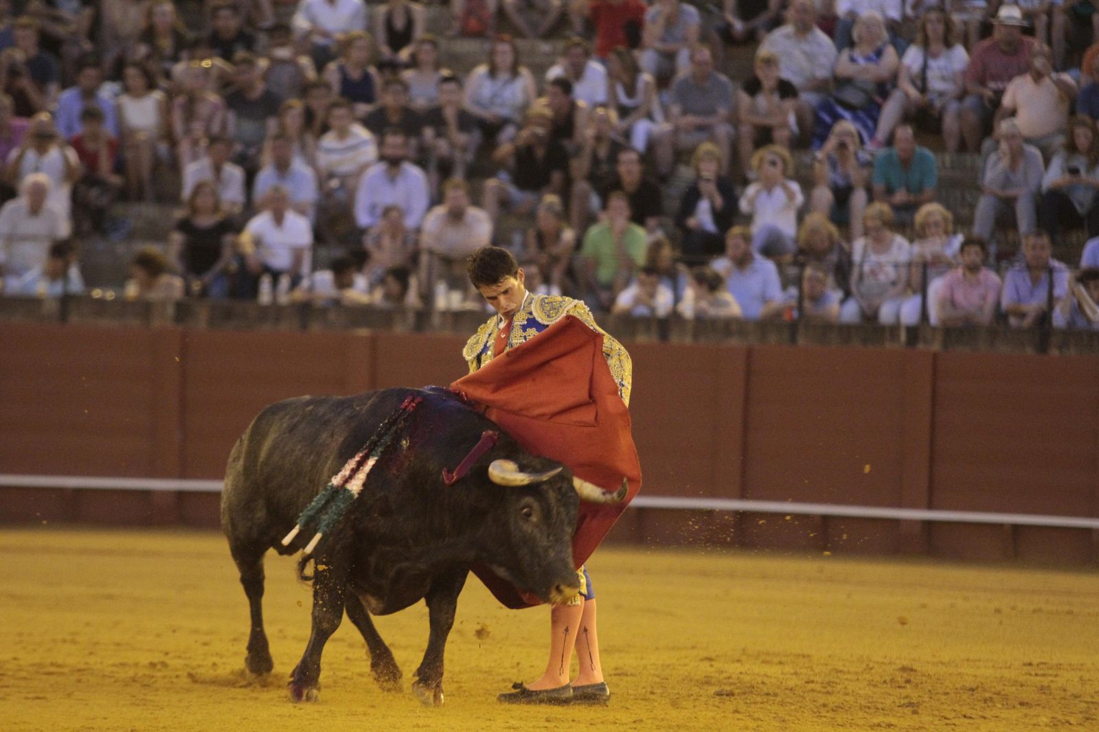Aitor Darío 'El Gallo', con el primer novillo de la noche