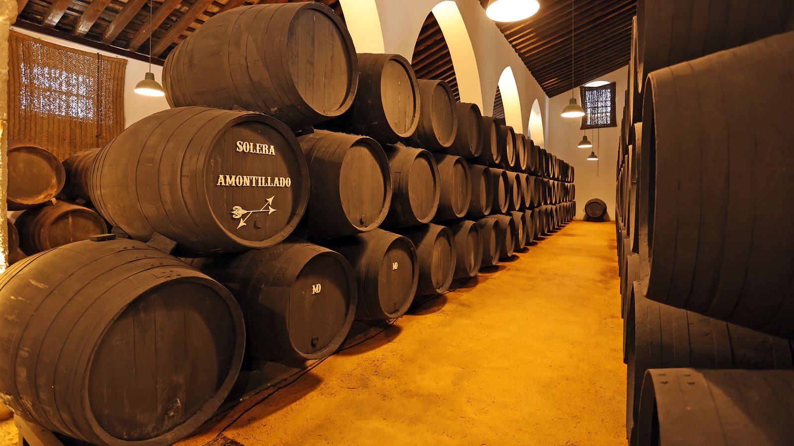 Imágenes de la inauguración de las nuevas Bodegas León Domecq