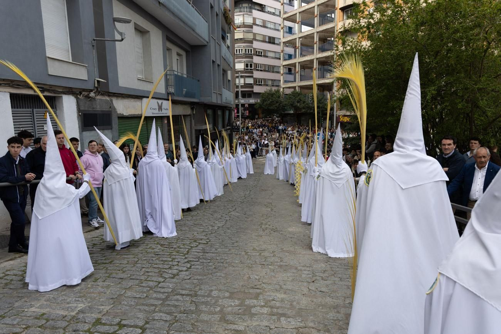 Los jiennenses se echan a la calle para presenciar la primera de las procesiones de la jornada: la Borriquilla (I)
