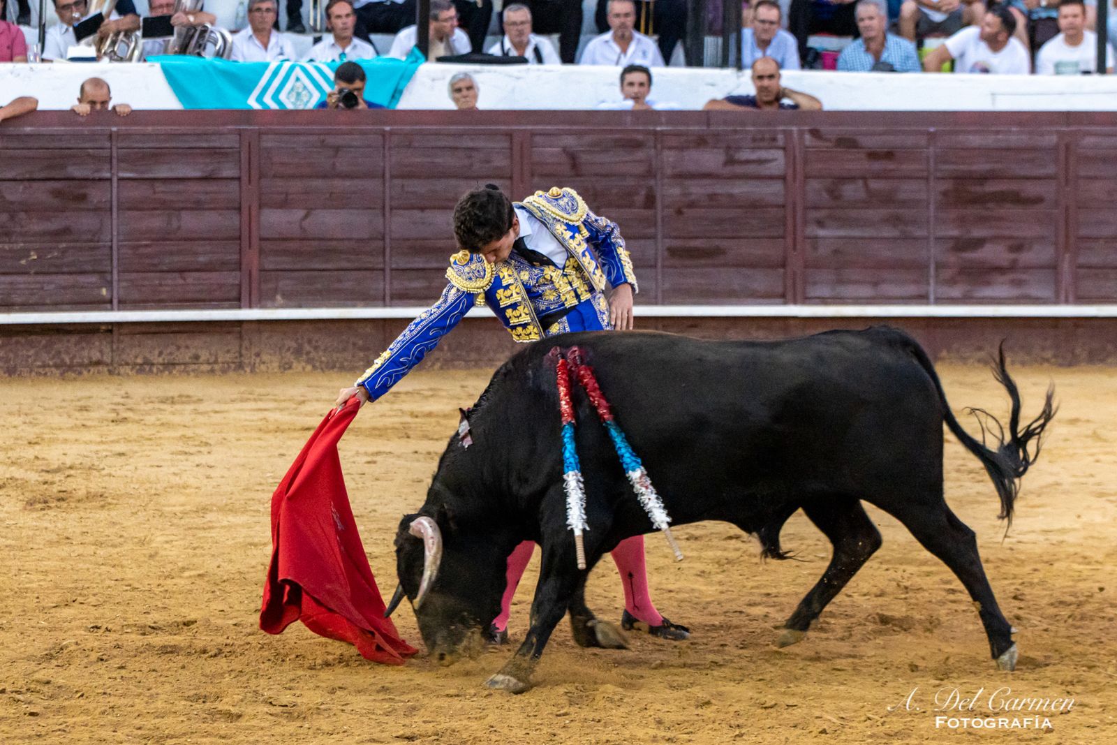 La noche se la llevó a hombros Tirado
