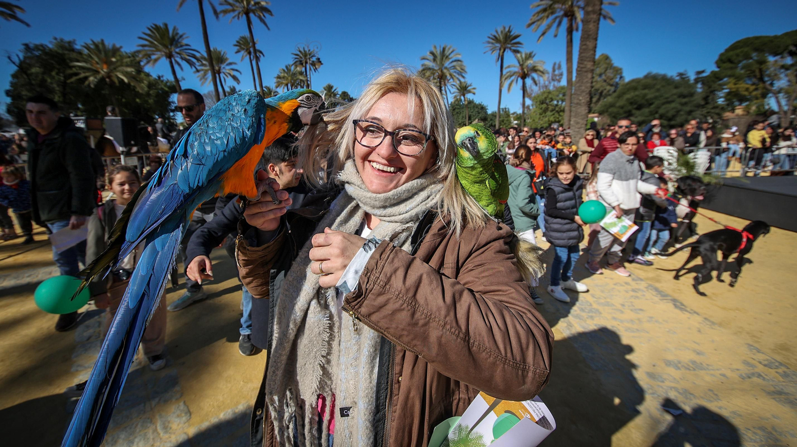 Búscate en San Antón de Jerez