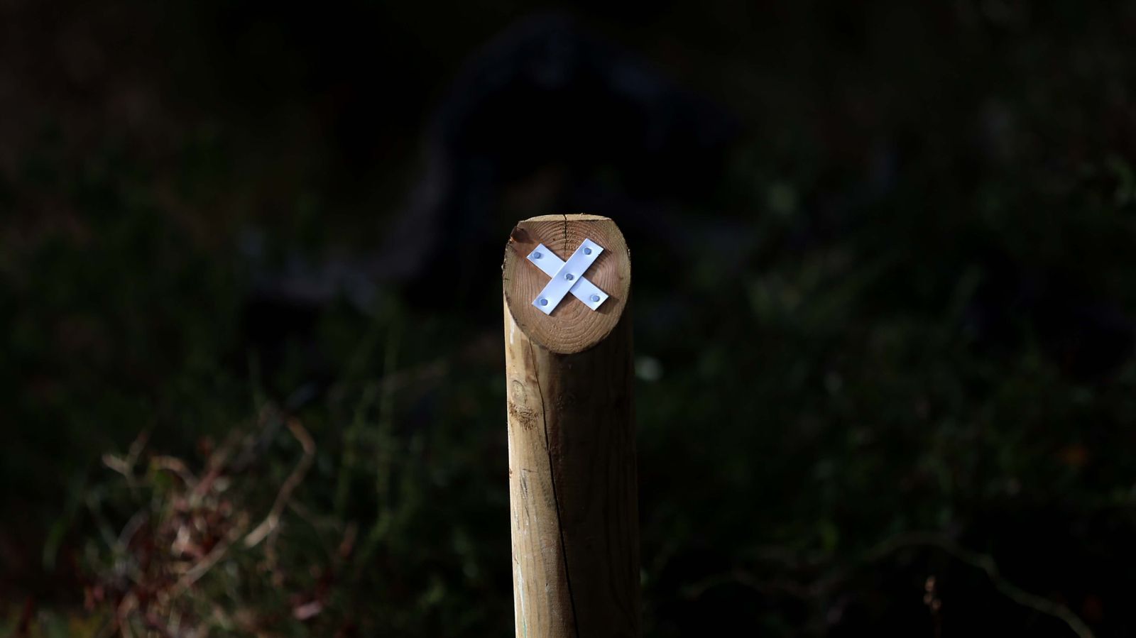 Las mejores fotos de San Carlos del Tiradero