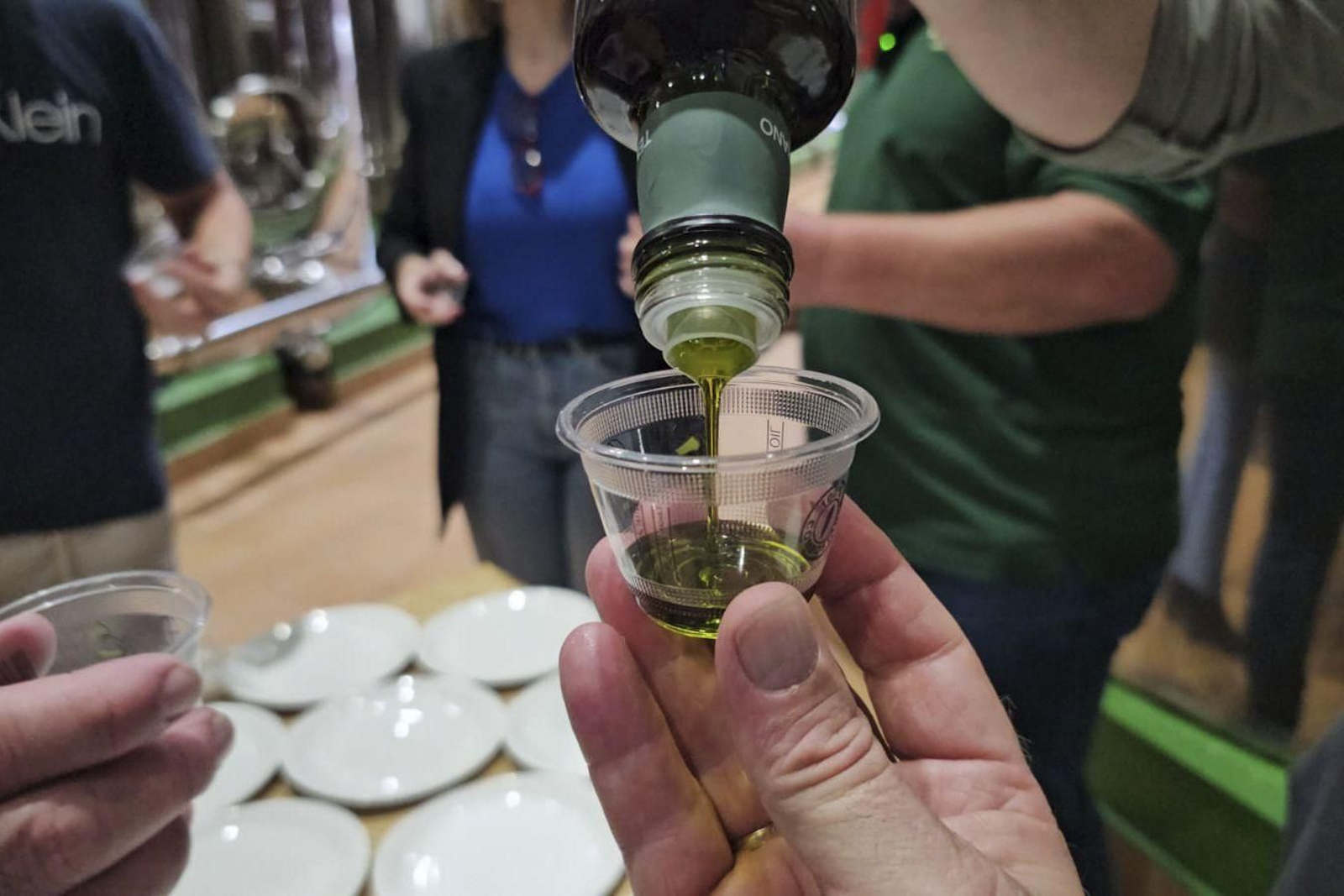 Una cata de aceite de oliva virgen extra temprano en Jaén.