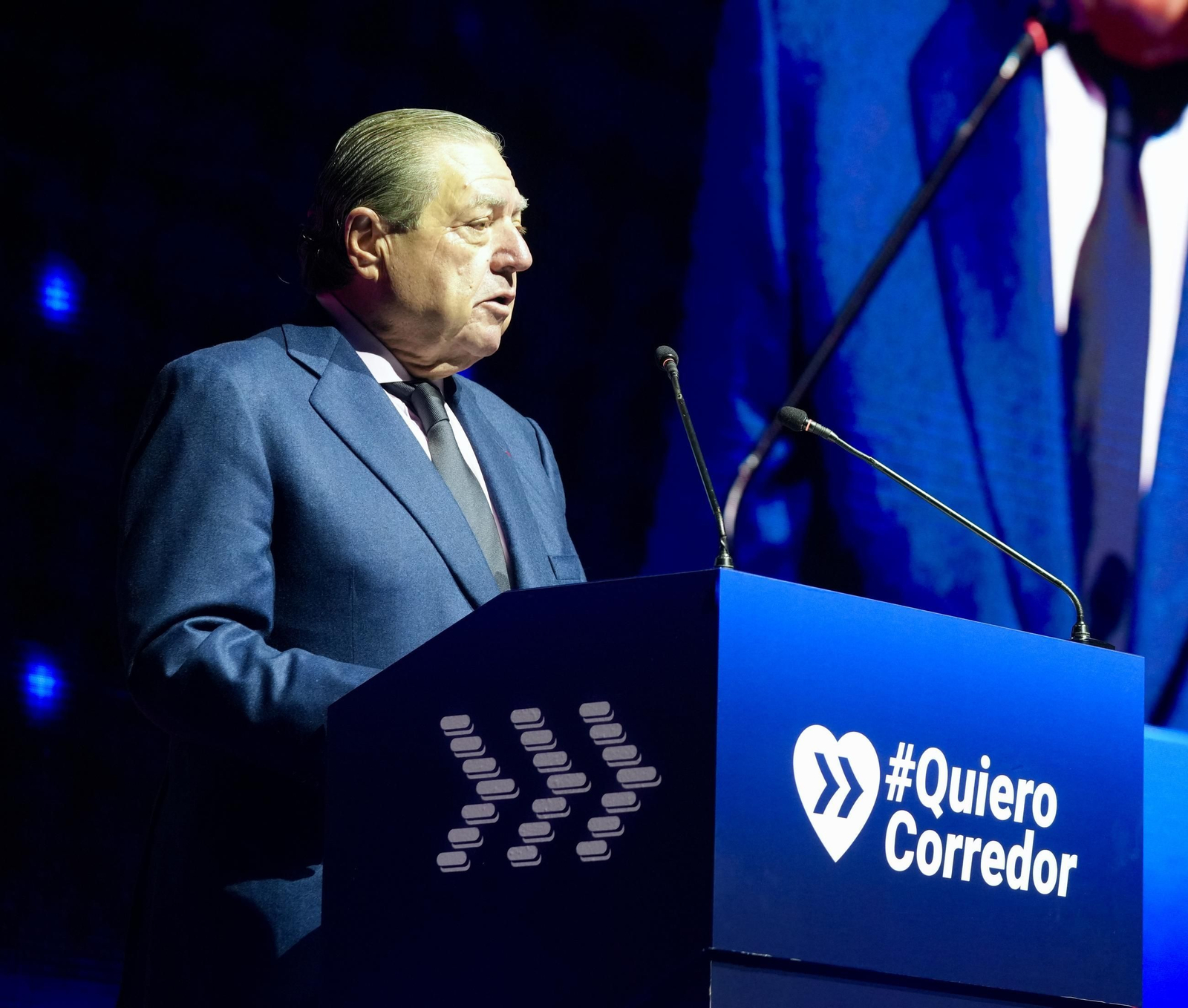 Vicente Boluda, presidente de AVE, interviene en el acto.