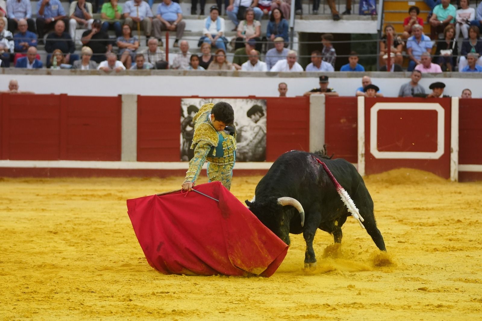El mano a mano de los novilleros José Antonio de Gracia y El Candela en Pozoblanco, en imágenes