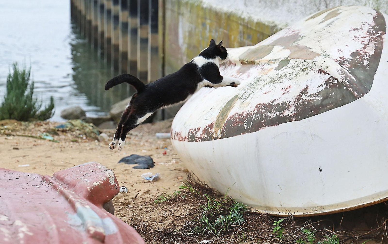 Las imágenes más destacadas del viernes 28 de febrero en Huelva