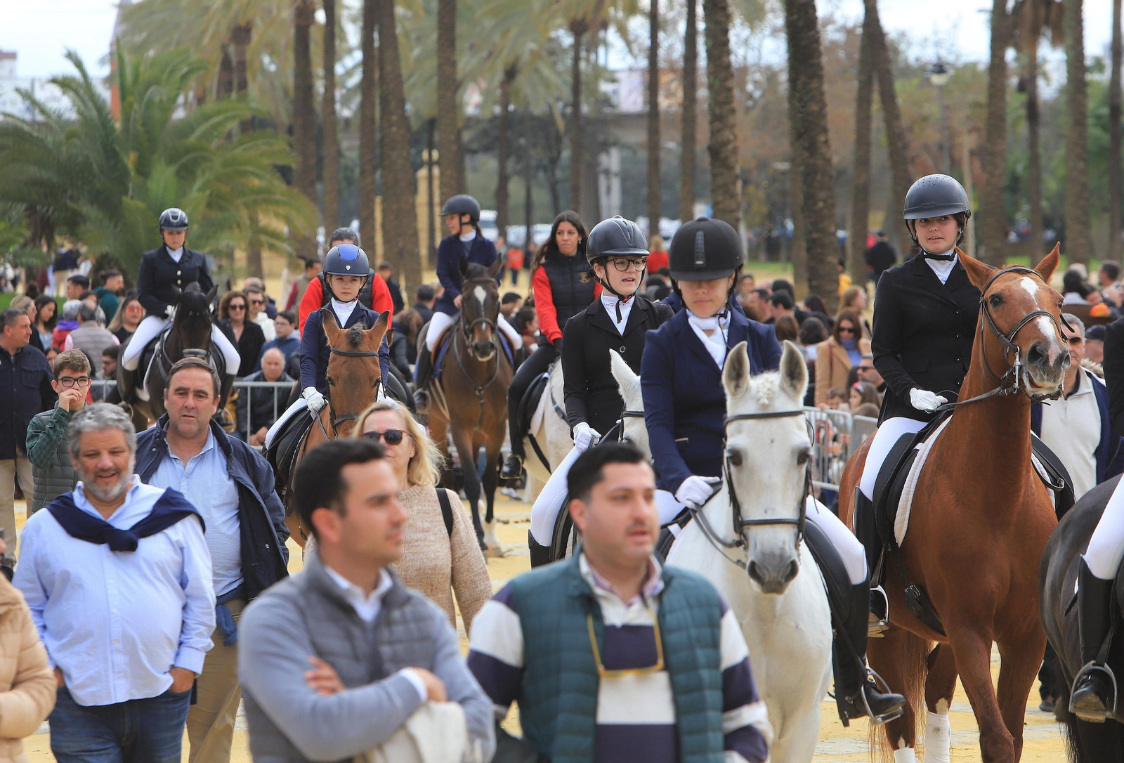 Jerez celebra San Antón 2025