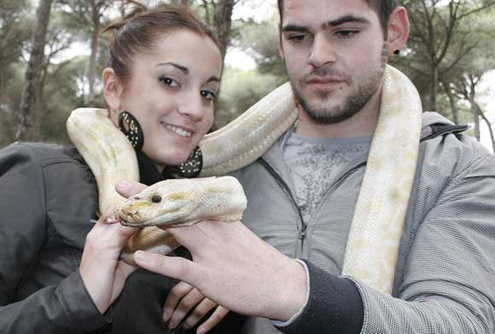 Imagen de la celebración del día de San Antón en el Puerto de Santa María

Foto: A.Mora