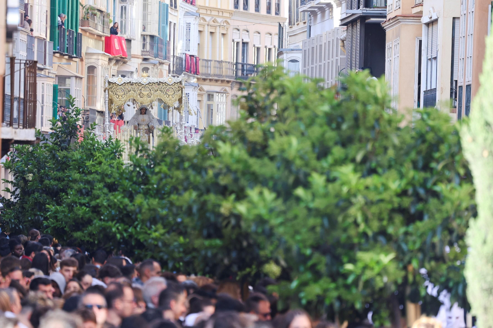 El Rocío en el Martes Santo de Málaga, en fotos