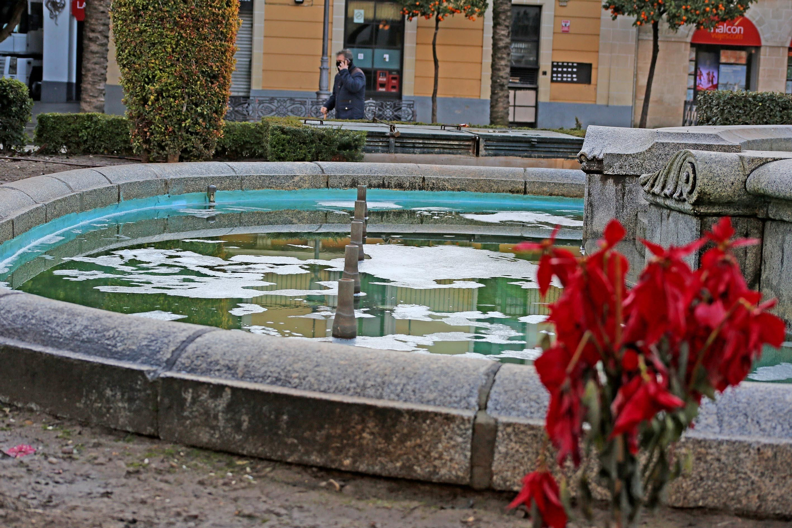 Ola de frío:Imágenes de la helada en Jerez