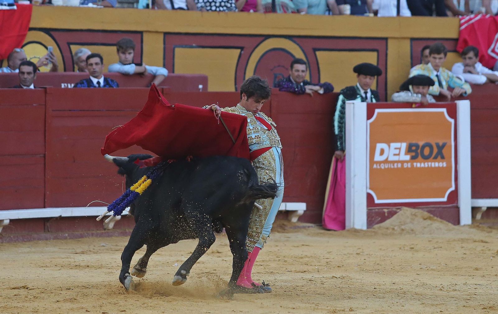 La novillada de Miguelín que abre la feria de Algeciras, en imágenes