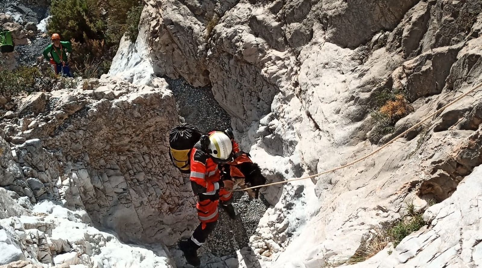 Las impactantes imágenes del rescate de dos perros por los bomberos de Granada.