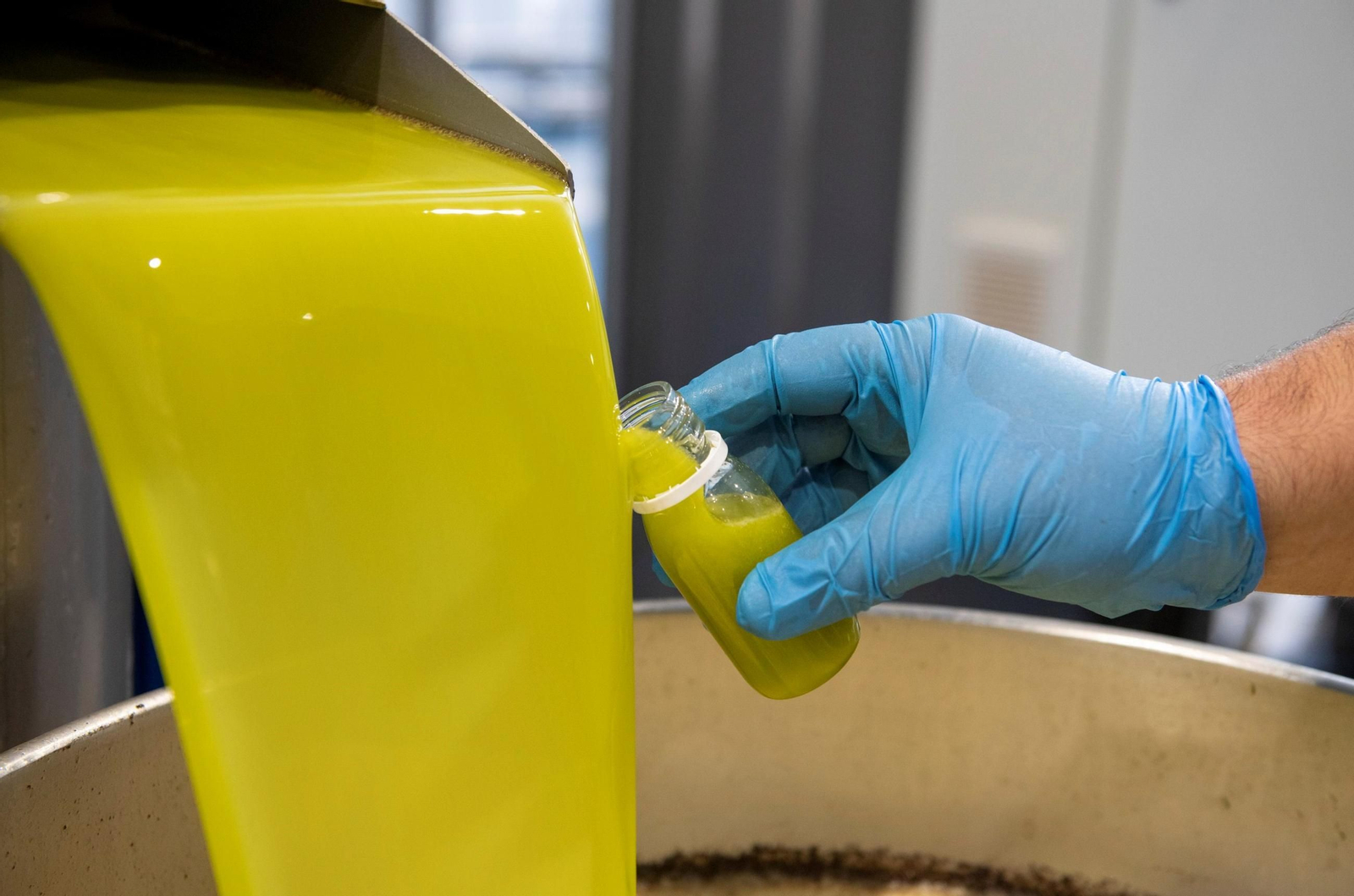 Durante uno de  los procesos de  la aceituna para la obtención de  aceite de  oliva