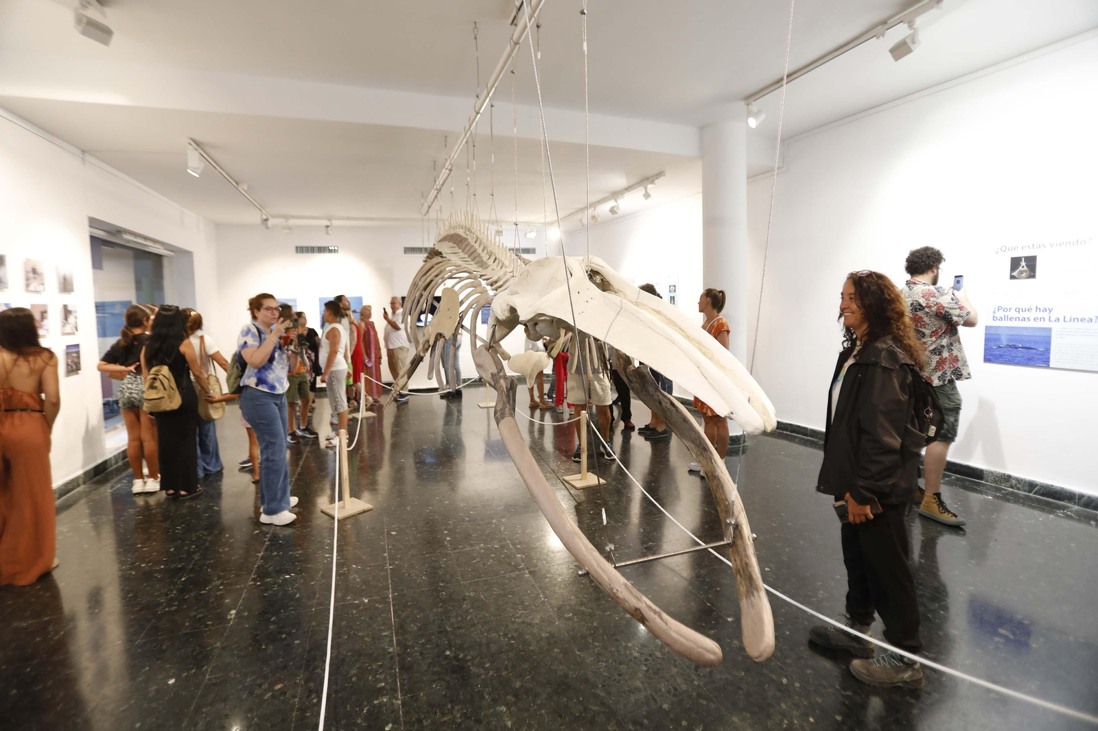 Fotos de la exposición del esqueleto de la ballena Galadriel