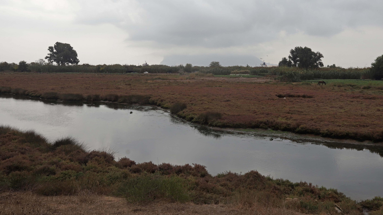 Fotos del parque del Torrejón en Algeciras