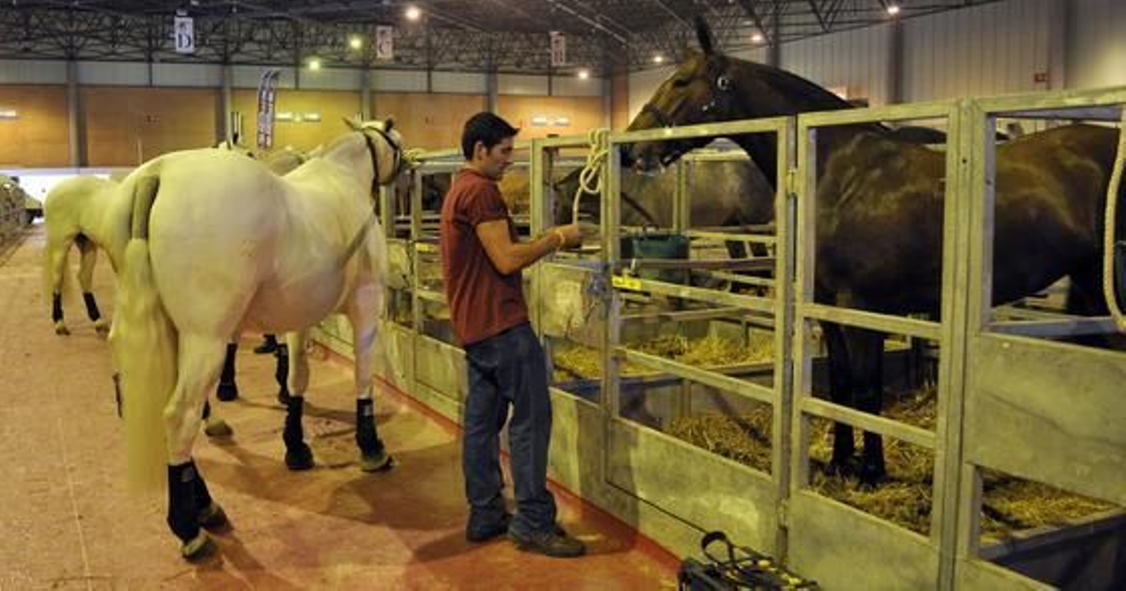 Preparativos y ensayo general del Sicab en Fibes. /Manuel Gómez