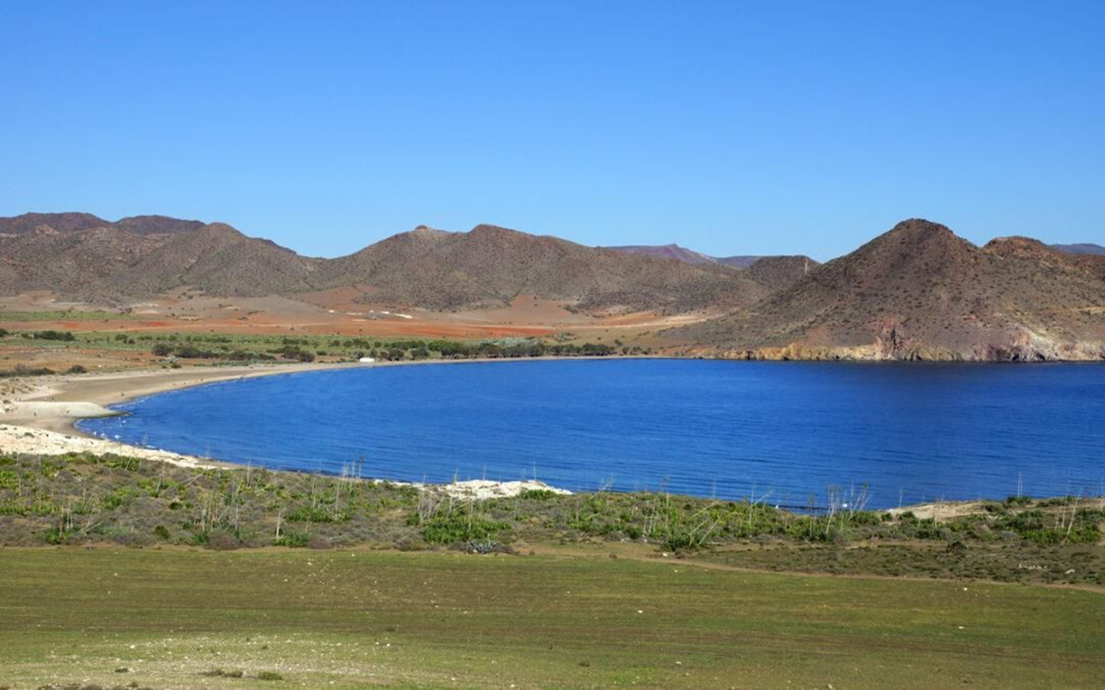 Se pretenden levantar sobre uso no urbanizable según este colectivo conservacionista