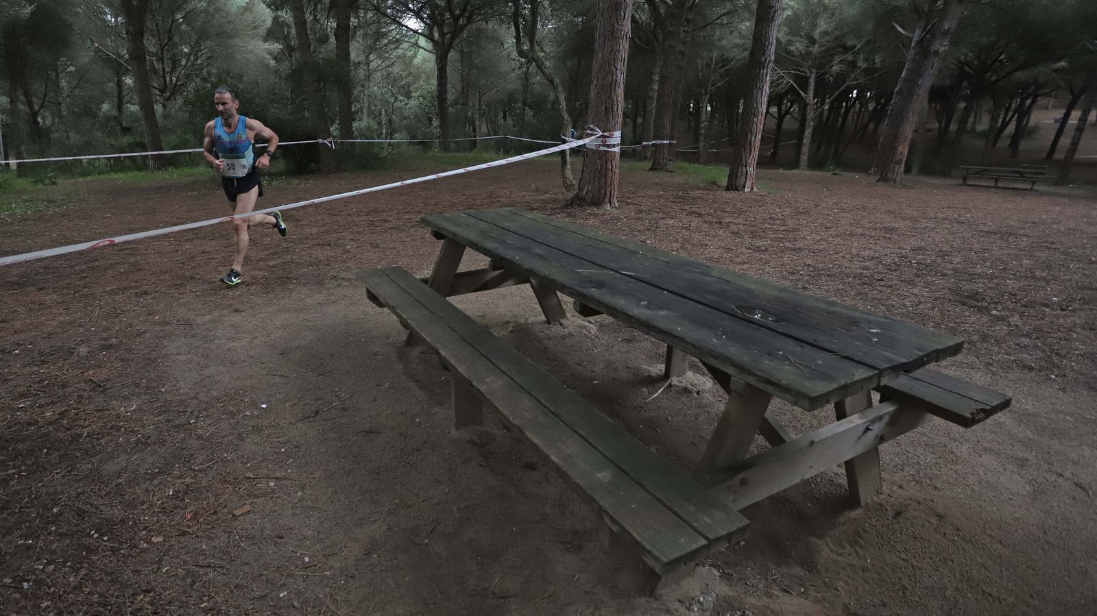 Fotos del III Cross Pinar del Rey en San Roque