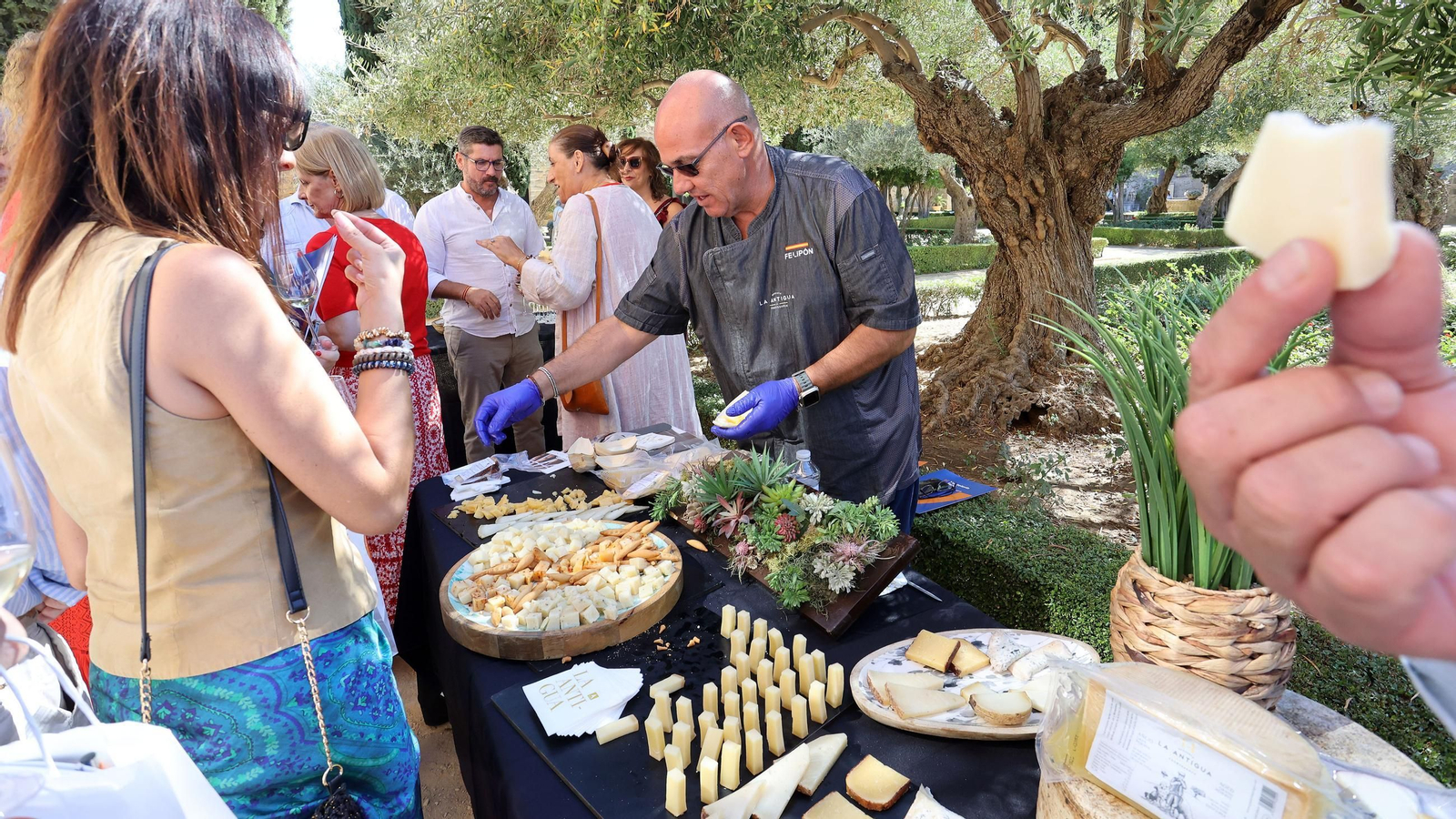 Presentación del nuevo logo de Hostelería Jerez