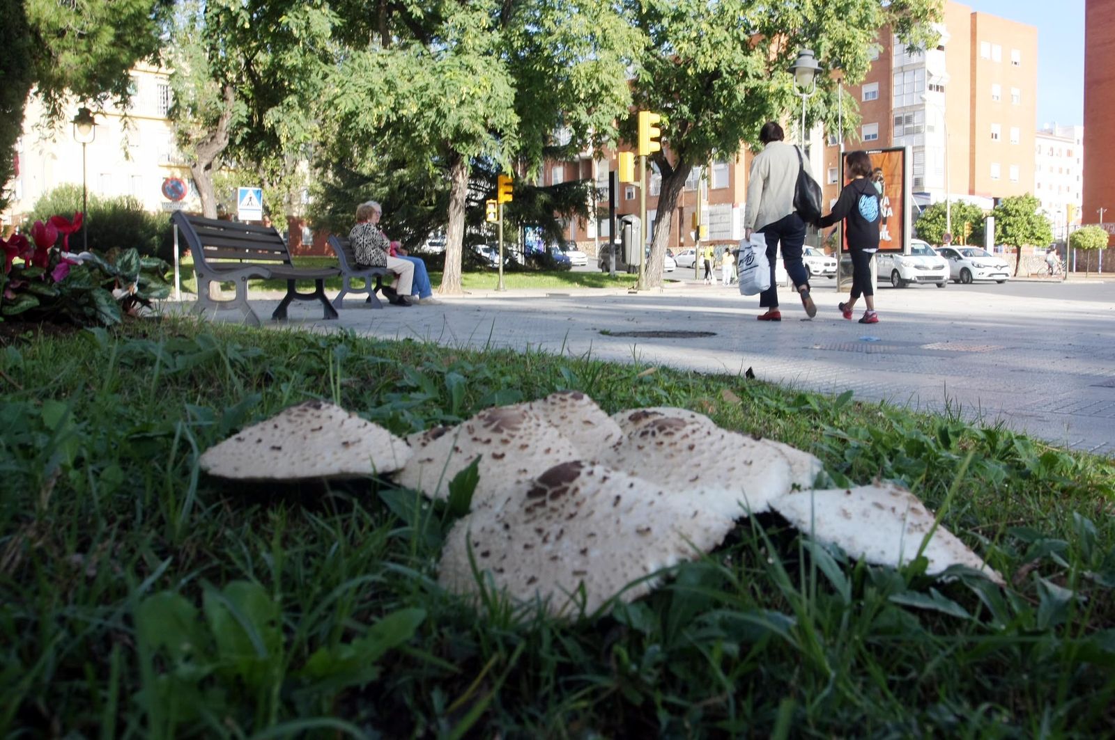 Imágenes del sábado 28 de octubre en Huelva