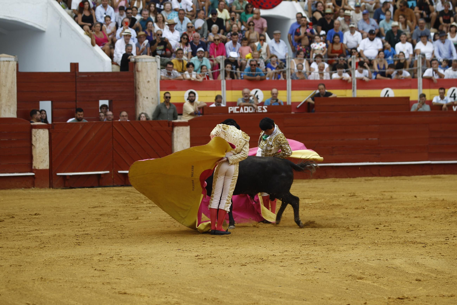 Las mejores imágenes de la clase práctica de la Escuela Municipal Taurina de Almería