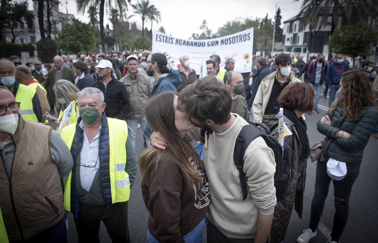 Las imágenes de la manifestación de agricultores de toda Andalucía en Sevilla