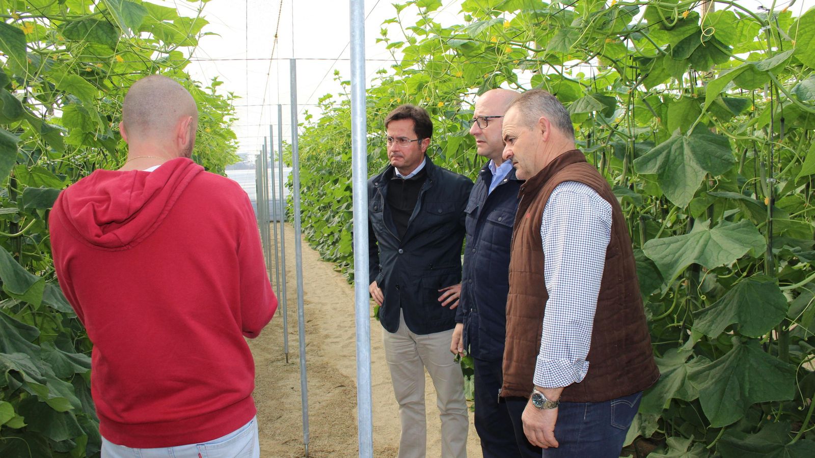Un instante de la visita a la explotación agrícola de pepinos