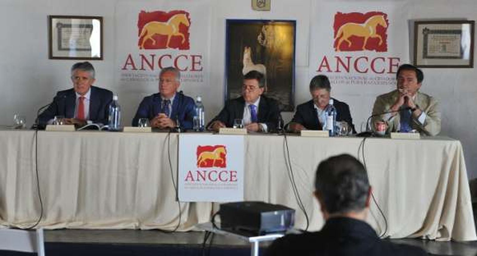 La asociación de cría de caballos españoles aprueba su presupuesto de 3 millones de euros para 2016