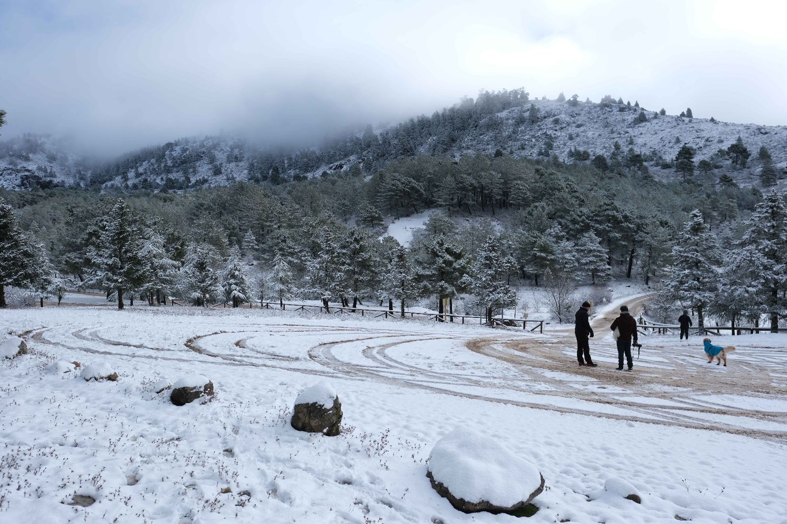 La nieve tiñe de blanco la Serranía de Ronda
