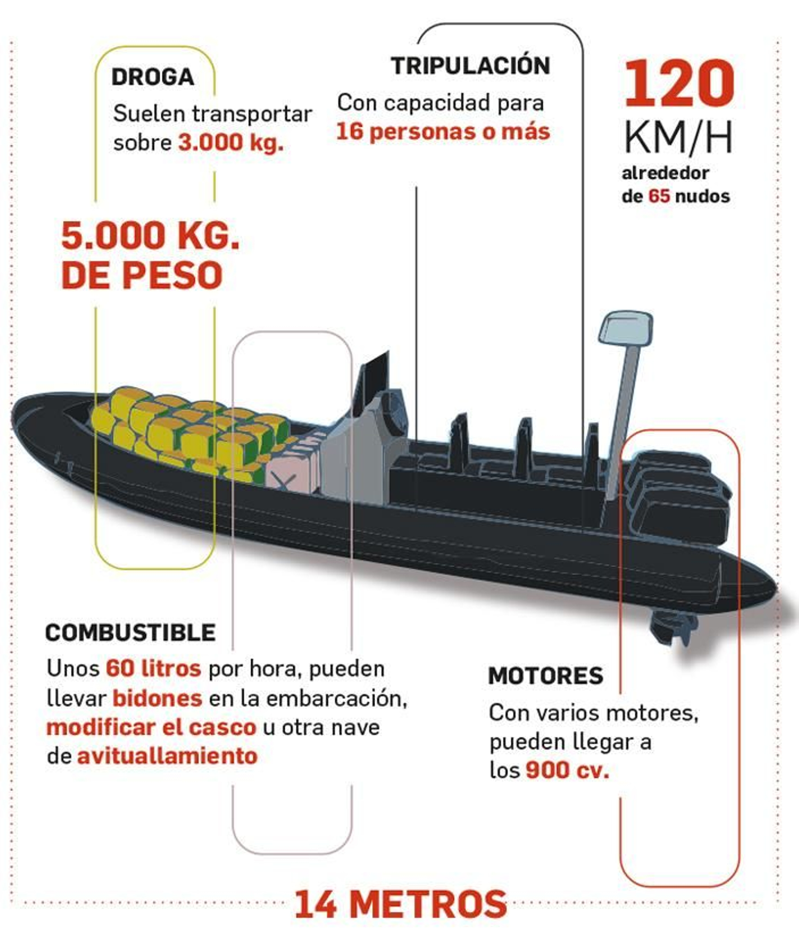Narcolancha Narcolancha