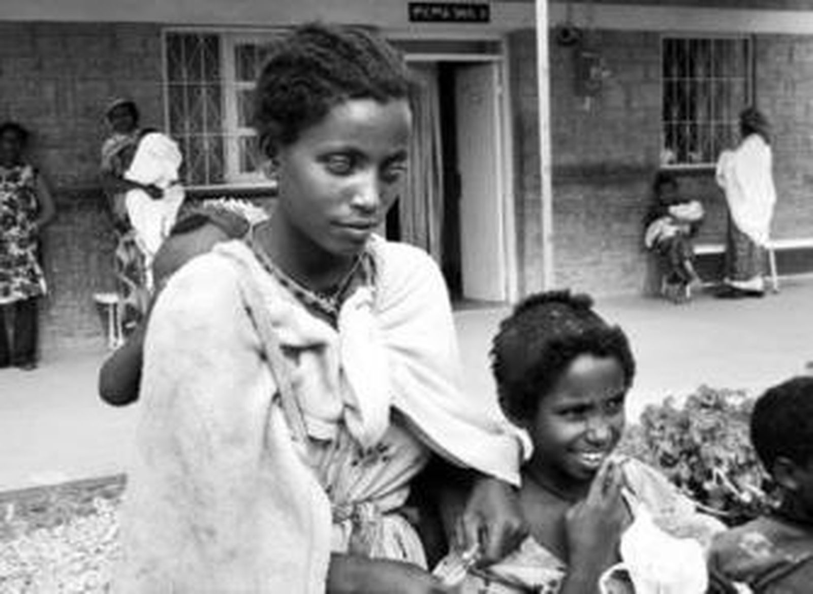 El arte sevillano de llevar luz a África