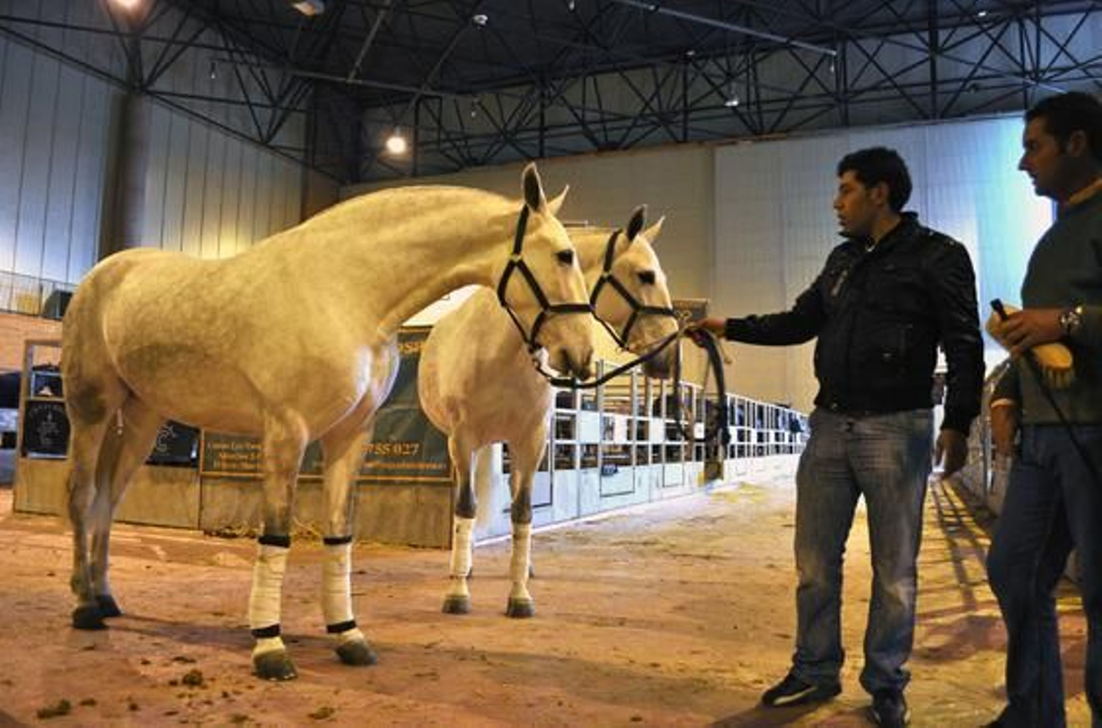 Preparativos y ensayo general del Sicab en Fibes. /Manuel Gómez