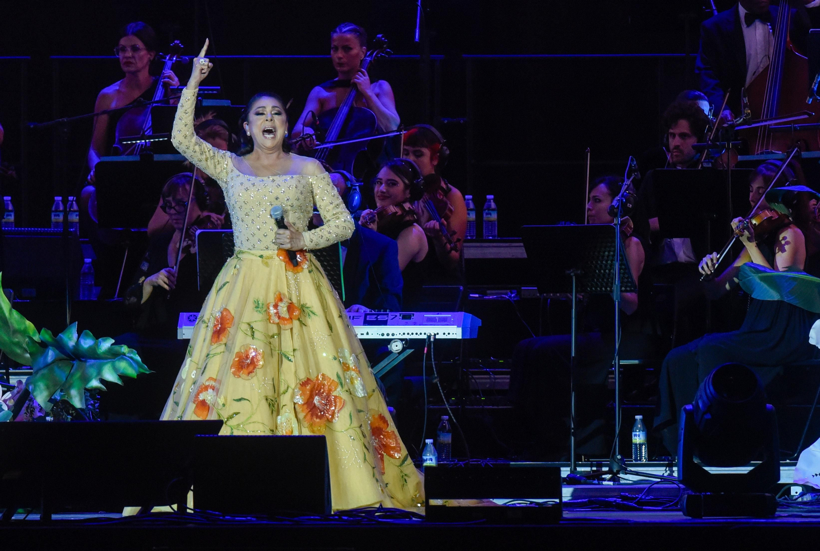 Las imágenes del concierto de Isabel Pantoja