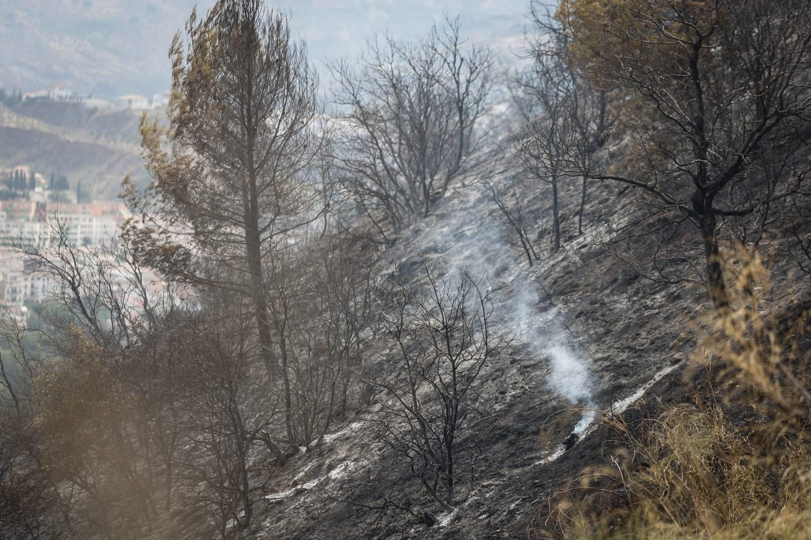 Las imágenes de la Fuente de la Bicha de Granada tras las llamas