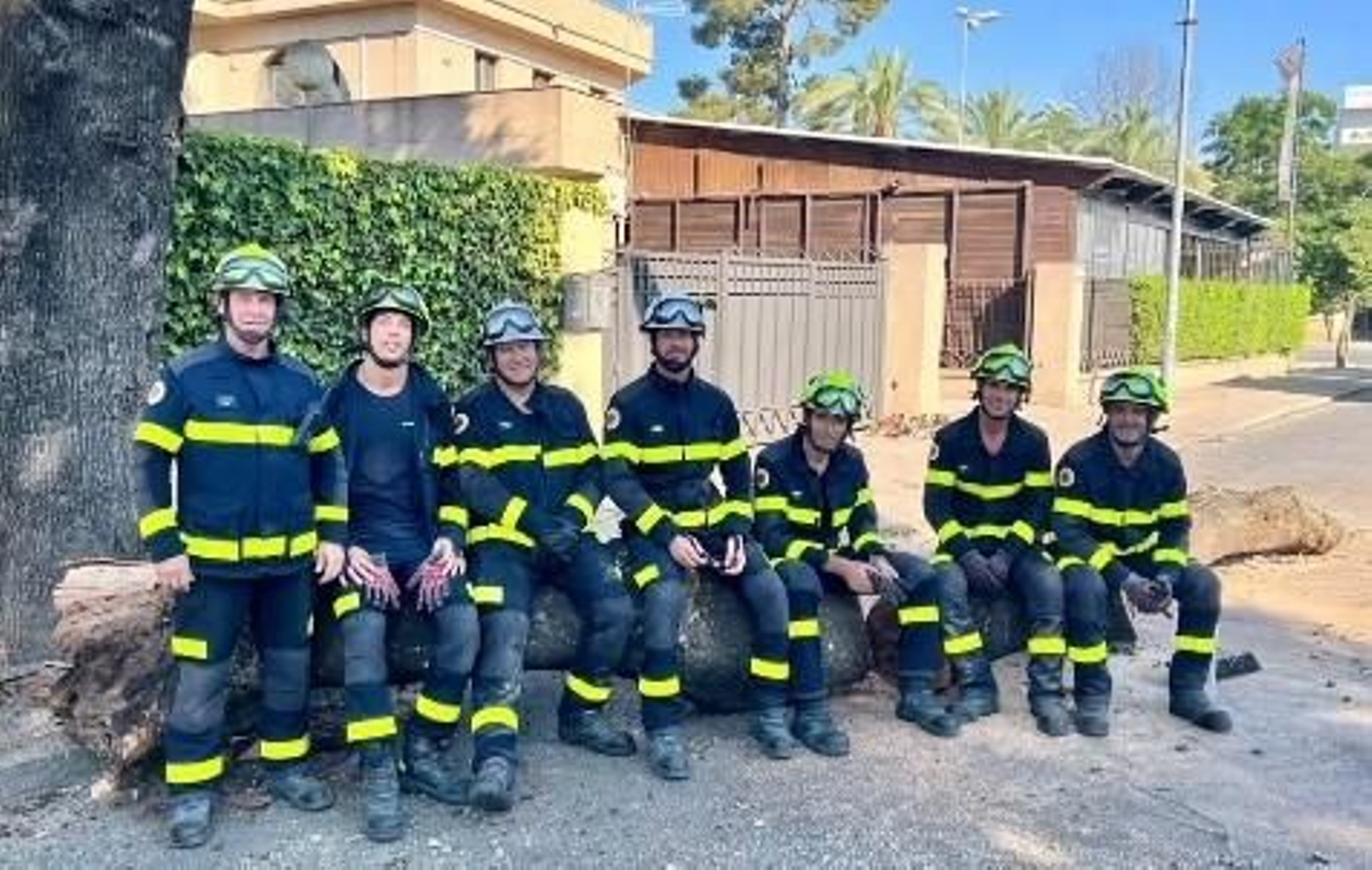 Bomberos de Jerez retiran una rama de grandes dimensiones en la calle Caldas Bomberos de Jerez retiran una rama de grandes dimensiones en la calle Caldas
