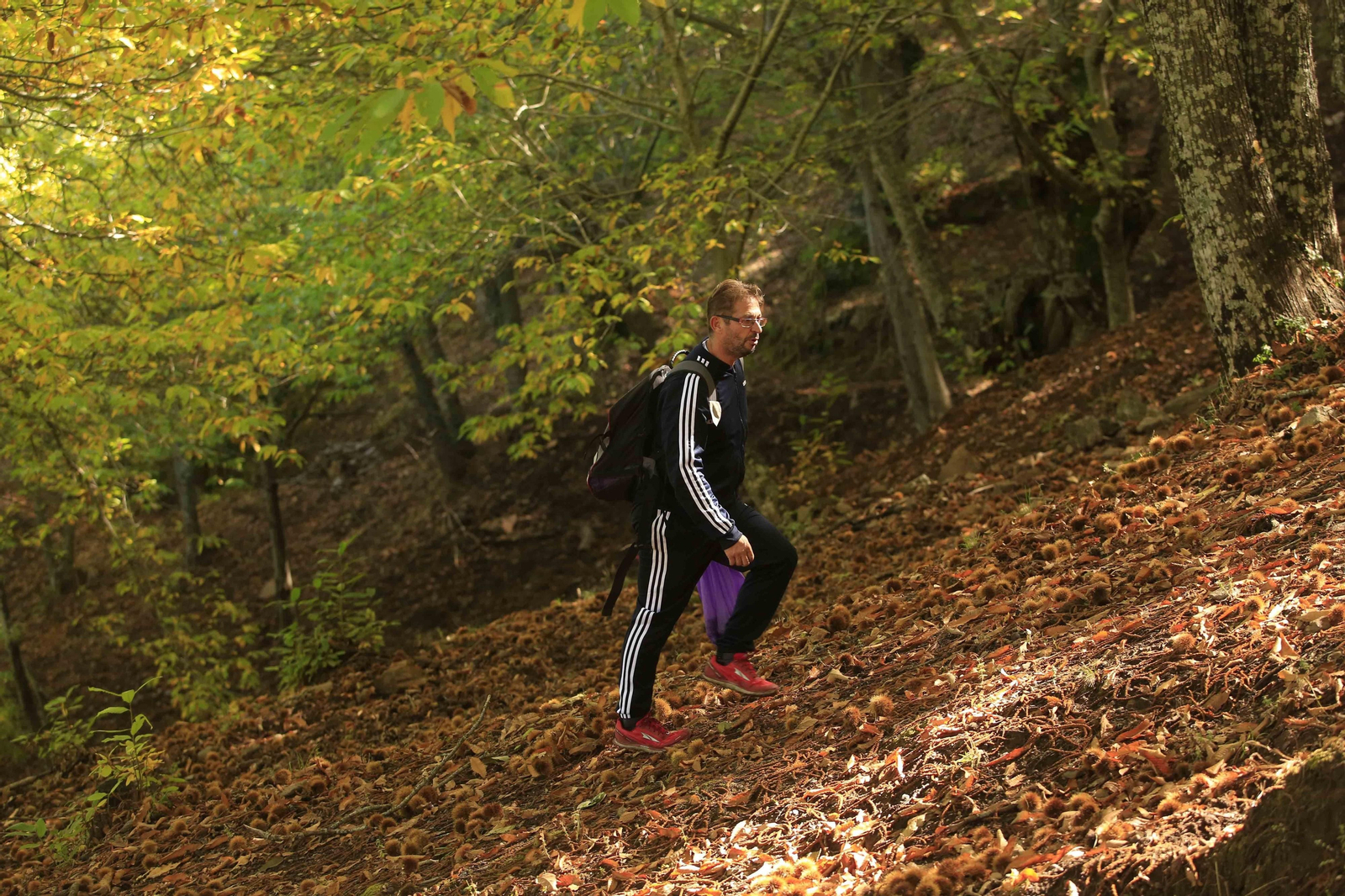 El Bosque de Cobre en el primer otoño de la pandemia