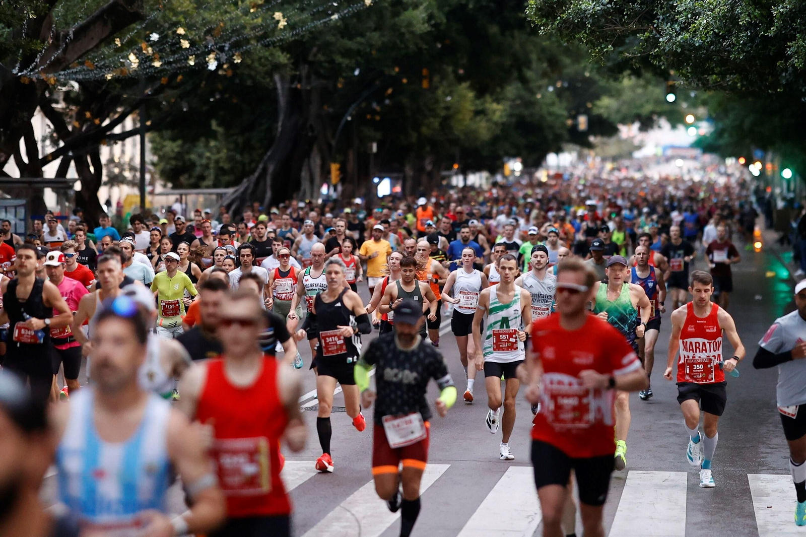 Las fotos de la Maratón de Málaga 2025