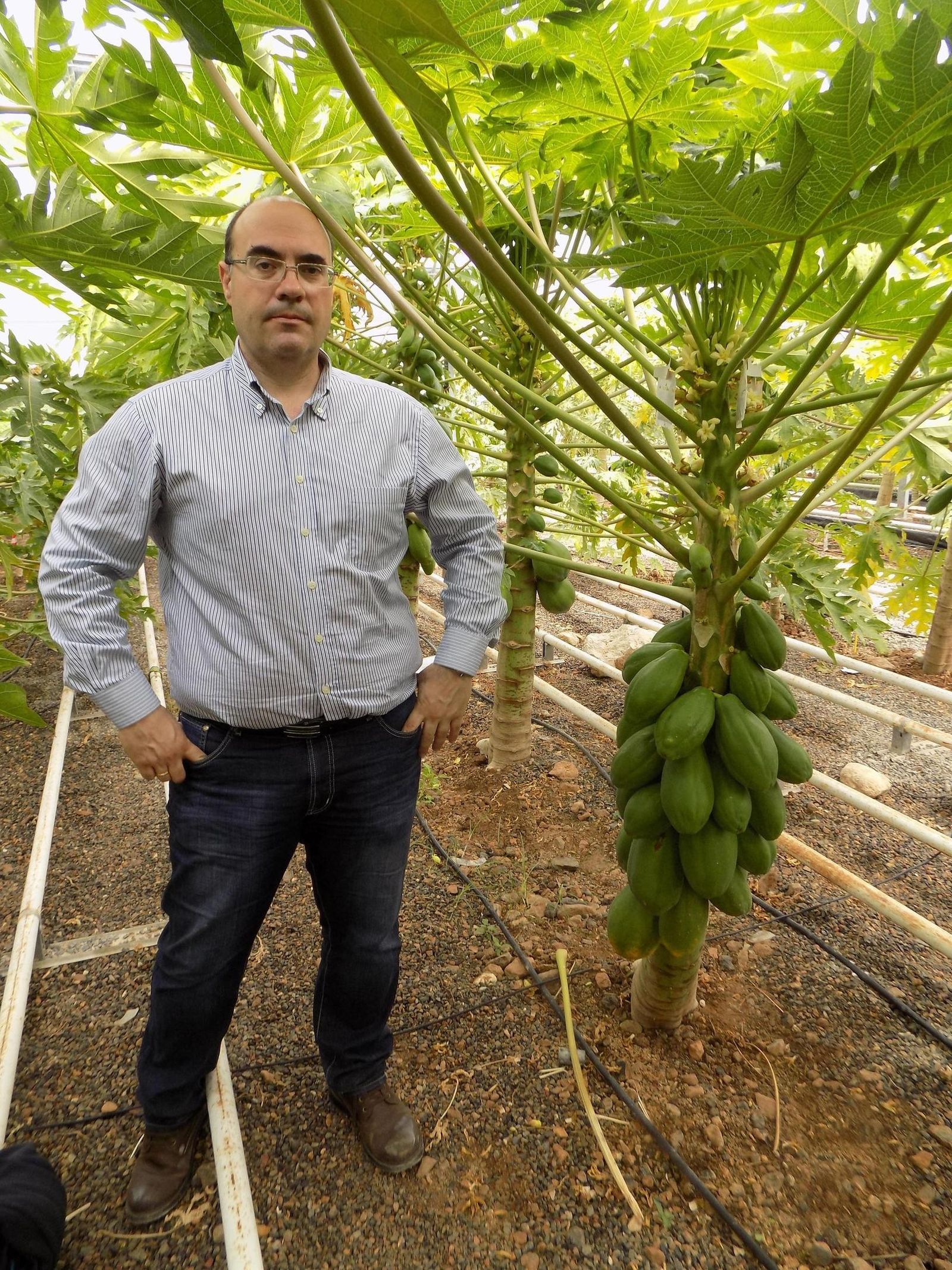 Juan José Hueso de la Estación Experimental de Cajamar