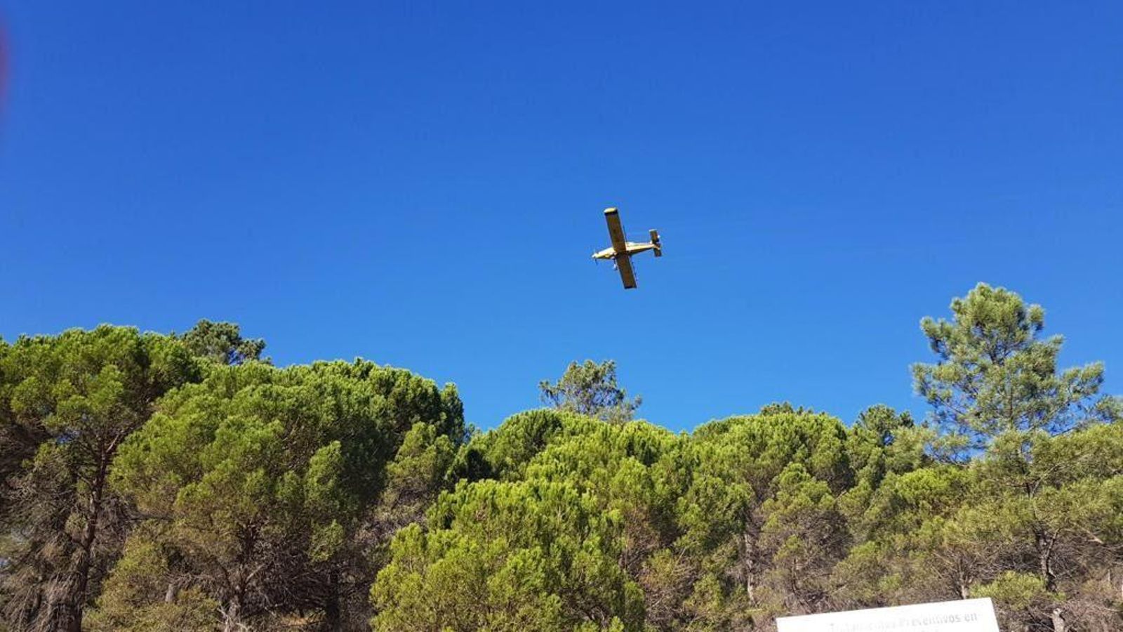 Una avioneta fumiga contra la procesionaria del pino.