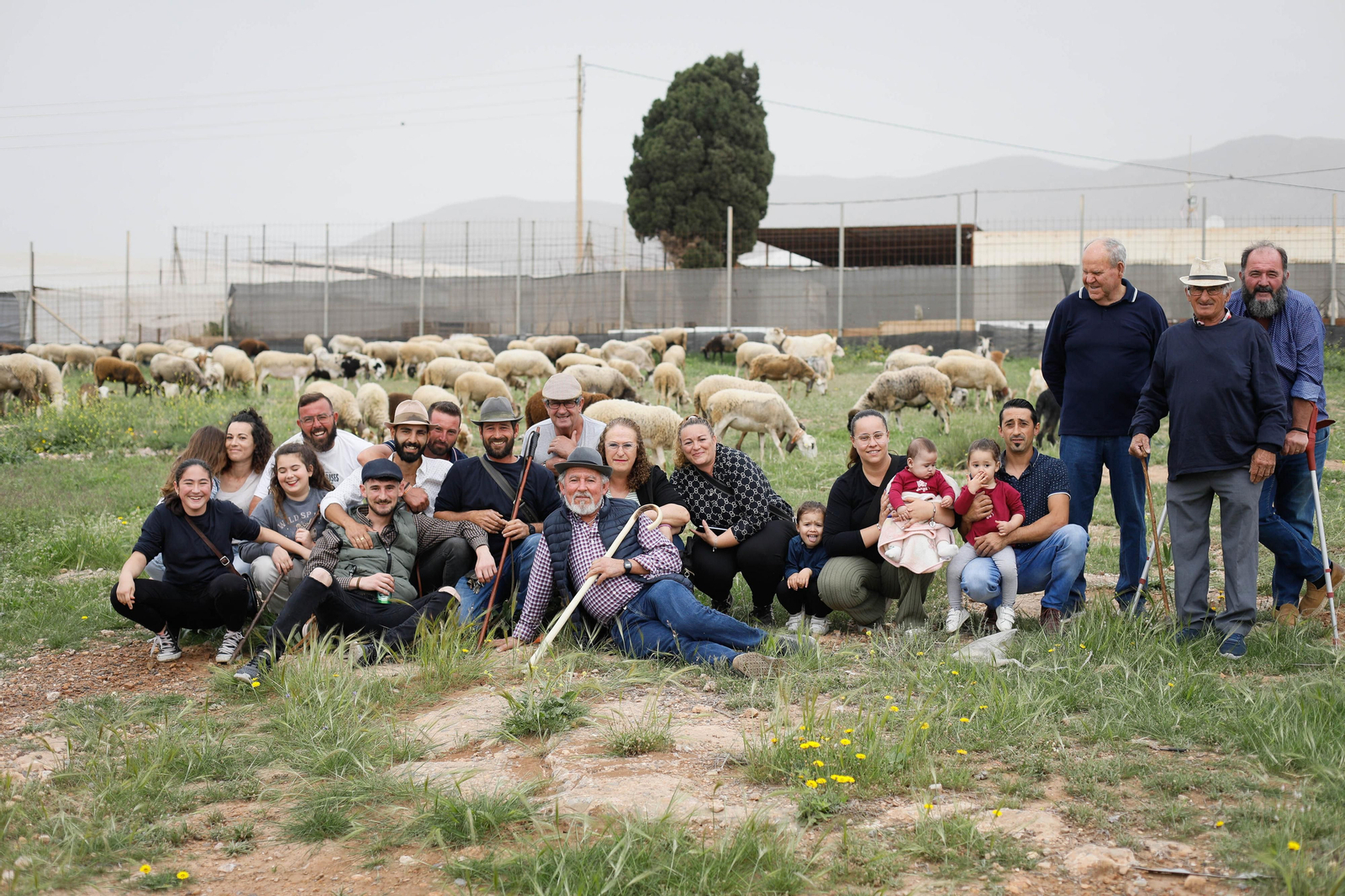 Galería de la Feria  de ganado en Tarambana