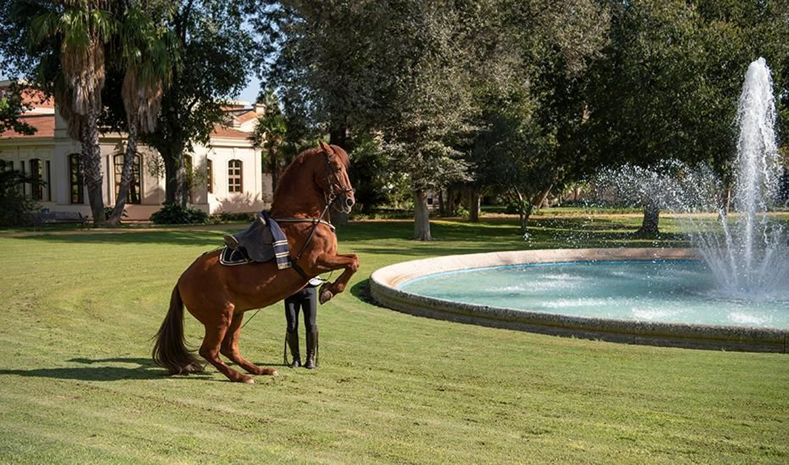 Reluxo aún es capaz de hacer todo tipo de ejercicios. En la foto, en los jardines de la Real Escuela.