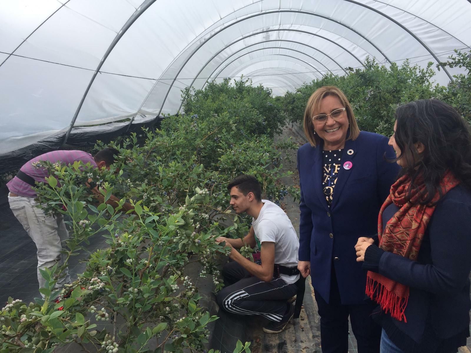 Faneca, durante su visita a Arándanos El Sumidero.