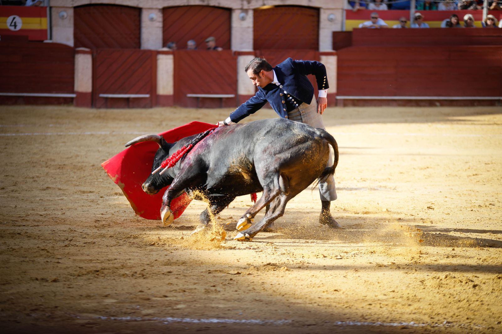 Imágenes del festival mixto lucha contra el cáncer