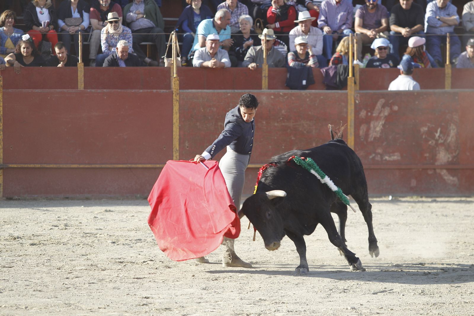 Fotogalería Festival Taurino Mixto. Fiestas de Abrucena.