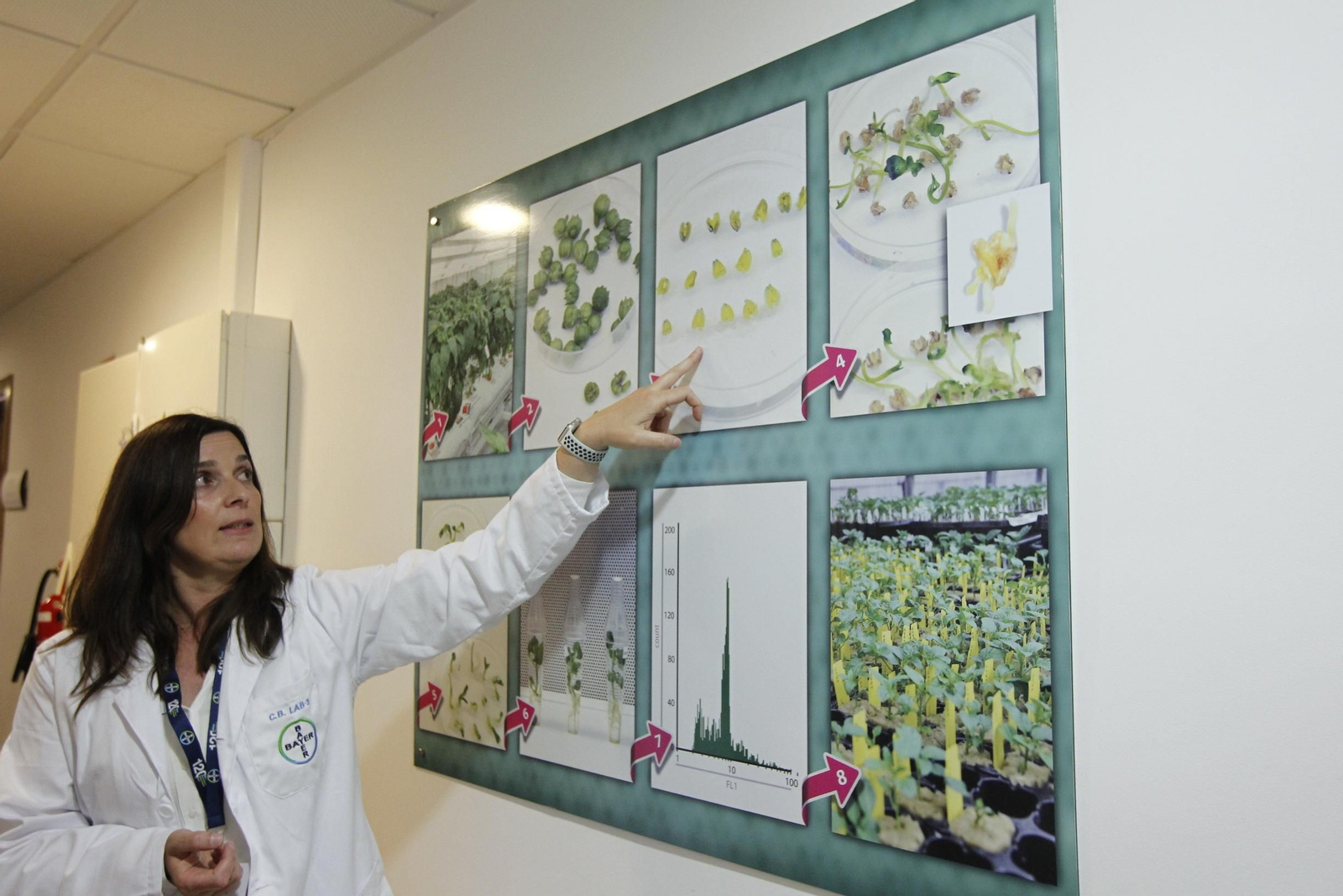 Fotogalería presentación resultados Bayer