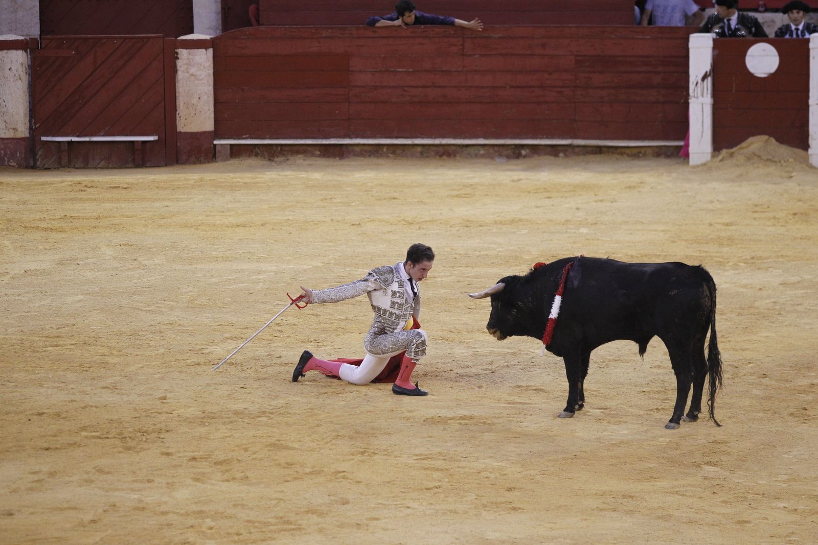 Fotogalería novillada Escuela Taurina de Almería. Feria de Almería 2019