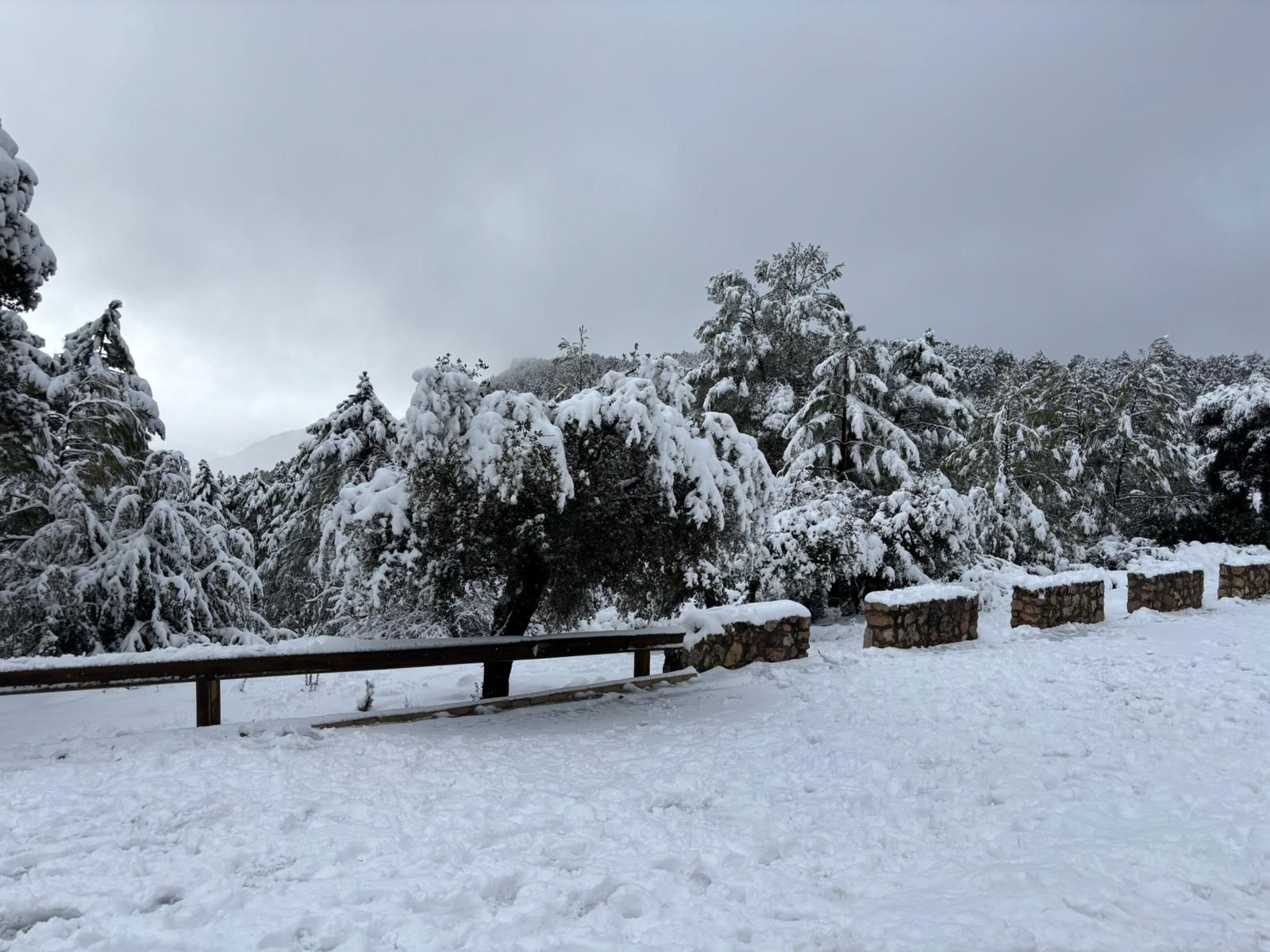 Sierra de Segura Nevada.