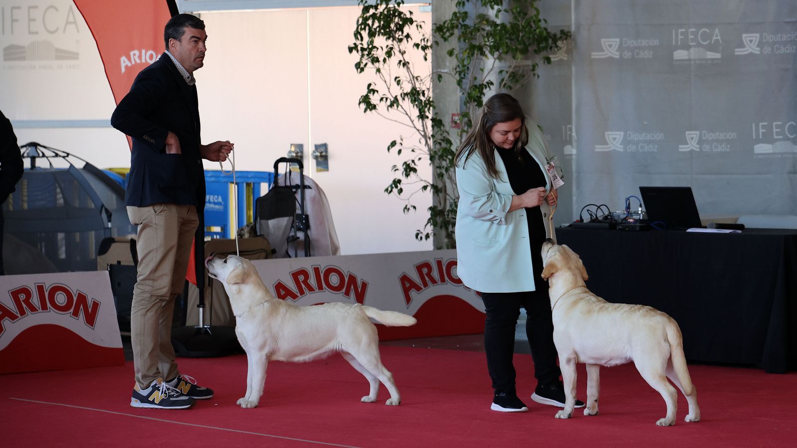 Imágenes de la 49ª edición de la Exposición Nacional Canina y la 25ª edición de la Exposición Internacional Canina en IFECA Jerez