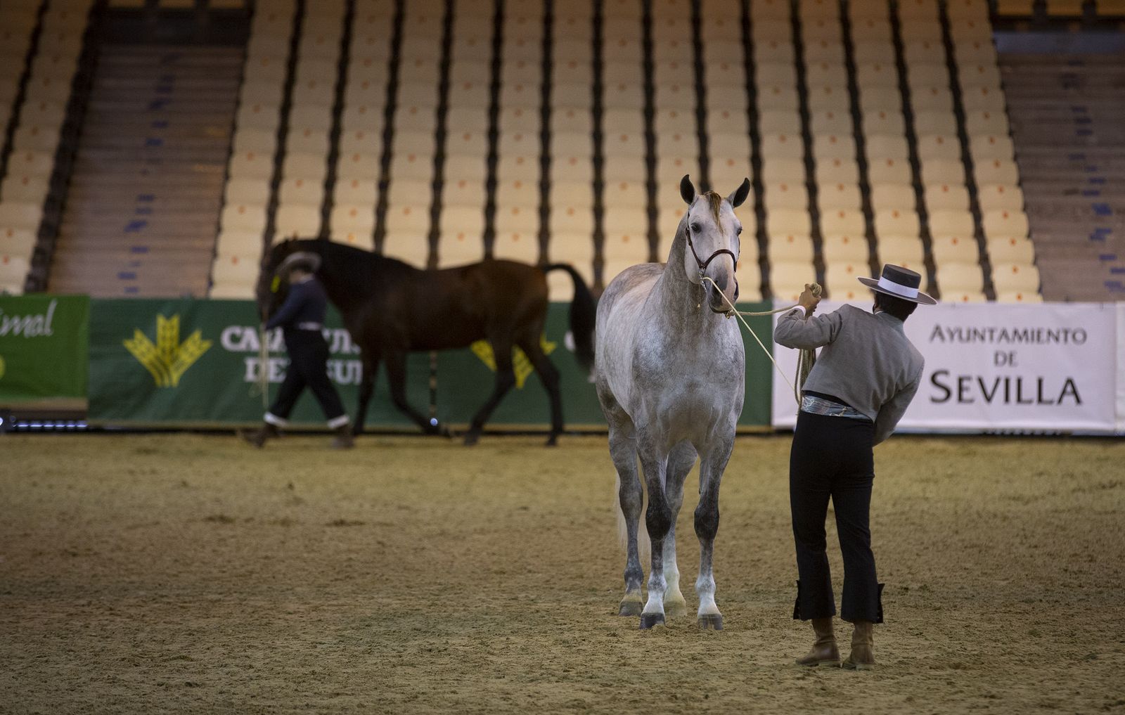 Imágenes de Sicab 2020 en la reanudación de las pruebas en Fibes